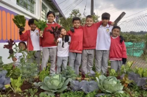 Manos a la Huerta - Fundación La Ofrenda