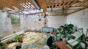 Descripción de la imagen