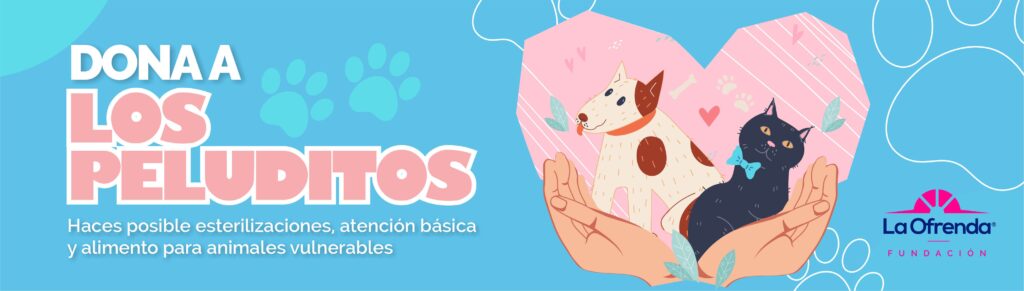 bannerdonaalospeluditos